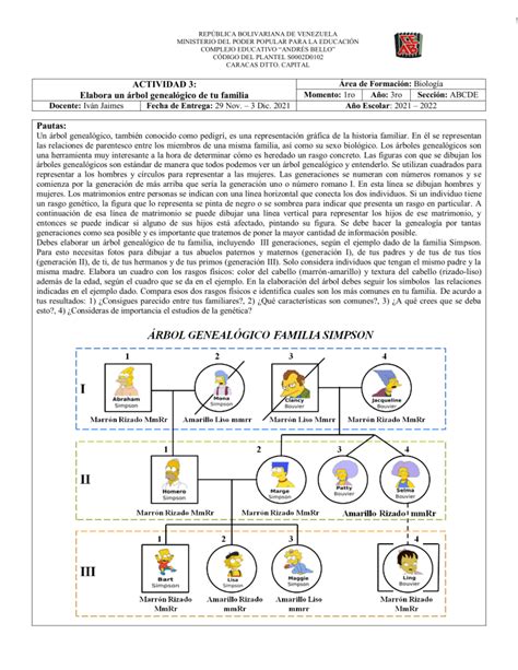 ACTIVIDAD 3 ARBOL GENEALOGICO 1 1669