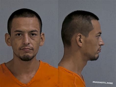 ALEGRIA ALEJANDRO 06 17 2024 Hidalgo County Mugshots Zone