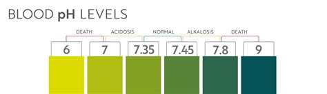 Premium Vector | Human blood ph range. Medical illustration chart and scale. Acidic, Normal ...