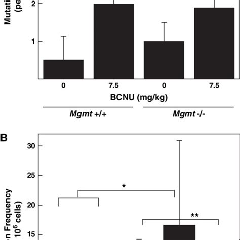 Hprt Mutation Frequency In Mice Exposed To Tmz Mgmtþþ And ÀÀ Mice Download Scientific