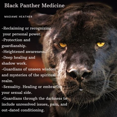 Black Panther Spirit Animal Black Jaguar Animal Jaguar Animal