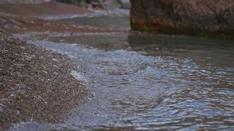 Gentle Waves Wash Over Pebble Beach Water Flows Around Rock In