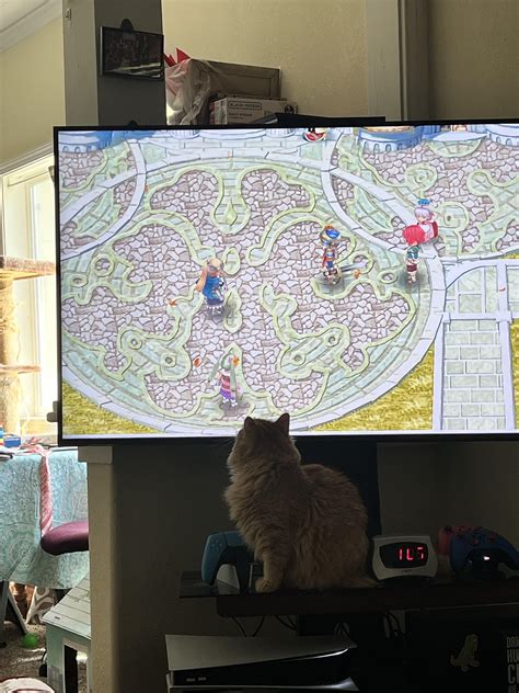 Had to share lol my is entranced by the leaves on the screen. She’s