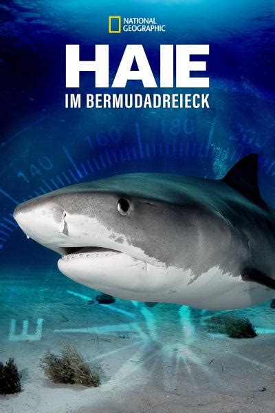 Sharks Of The Bermuda Triangle Kino Co