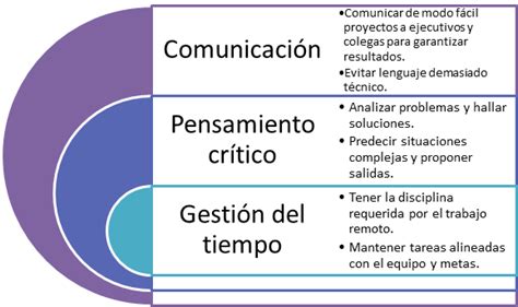 Conozca Las Habilidades Blandas Más Buscadas En Los Auditores