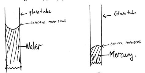 4 (i) shows water in a glass tube which produces a meniscus (concave ...