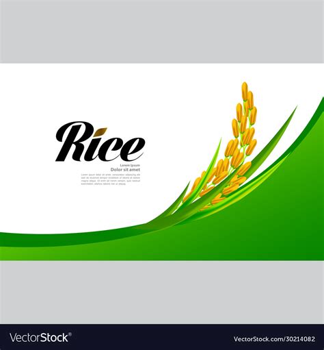 Premium Rice Great Quality Royalty Free Vector Image