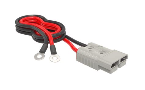 6AWG 3FT BB50 to Ring Terminal Cable - BigBattery.com