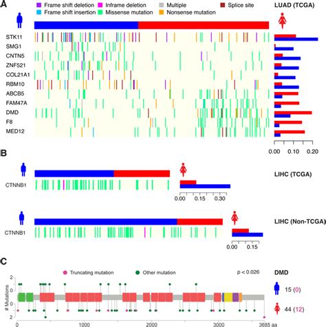 Sex Biased Somatic Mutation Signatures Overview Of The Genes With A Download Scientific Diagram