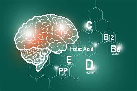 Nutrientes Essenciais Para a Saúde Do Cérebro Incluindo Vitamina C