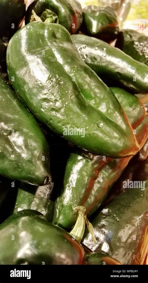 Poblano Pepper Mexico Hi Res Stock Photography And Images Alamy