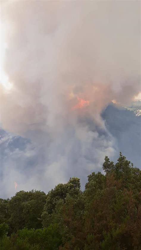 Vasto Incendio A Catanzaro Le Fiamme Minacciano Un Area Del Parco