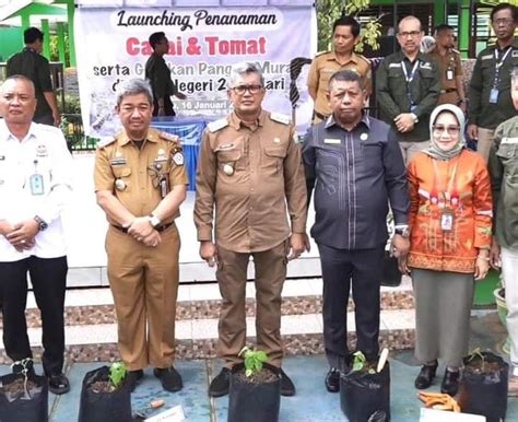 Upaya Pemkot Kendari Tangani Inflasi Galakkan Tanam Cabai Dan Tomat