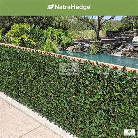 Natrahedge Artificial English Laurel Leaf Expandable Lattice Privacy