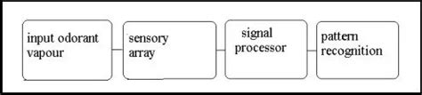 The Electronic Nose - Characteristics and Applications - Krazytech