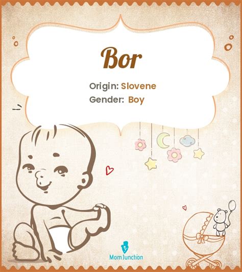 Bor Name Meaning, Origin, History, And Popularity | MomJunction