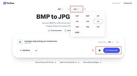 convertisseur bmp en jpg gratuit en ligne