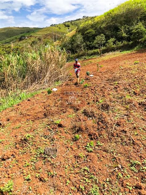 Dagua M Lote En Venta Fincas Del Valle