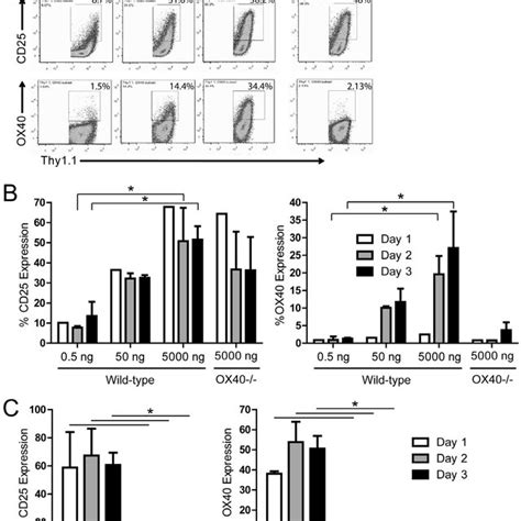 Ox40 Is Regulated By Tcr Stimulation And Il 2ralpha Cd25 Expression