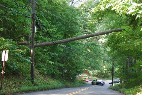 Road Closed Tree Falls Gets Tangled In Power Lines New City Ny Patch