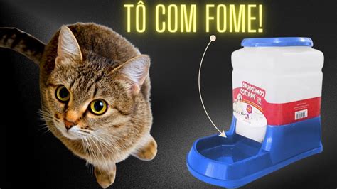 Comedouro Autom Tico C Es Cachorros Gatos Pr Tico Litros Marca