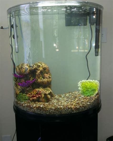 Setting Up A Freshwater Aquarium A Guide For Beginners