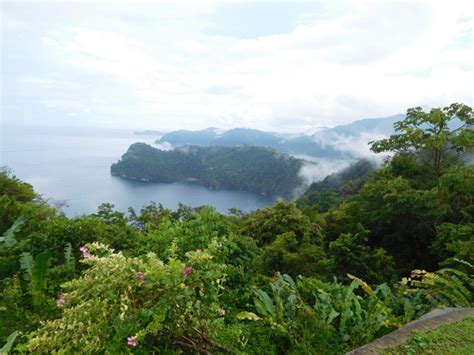 The Magnificent Rain Forests Of Trinidads Northern Mountains Trotting