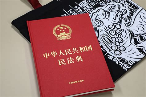 《中华人民共和国民法典（16开精装大字本）》【正版图书 折扣 优惠 详情 书评 试读】 新华书店网上商城