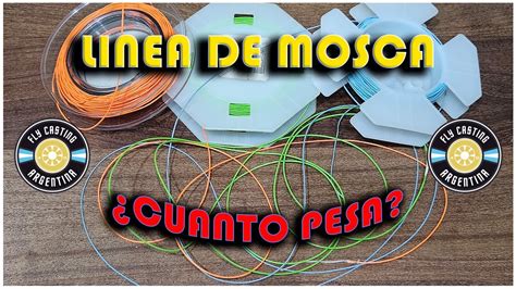 LINEAS DE PESCA CON MOSCA COMO PESARLA Y SABER SU YouTube