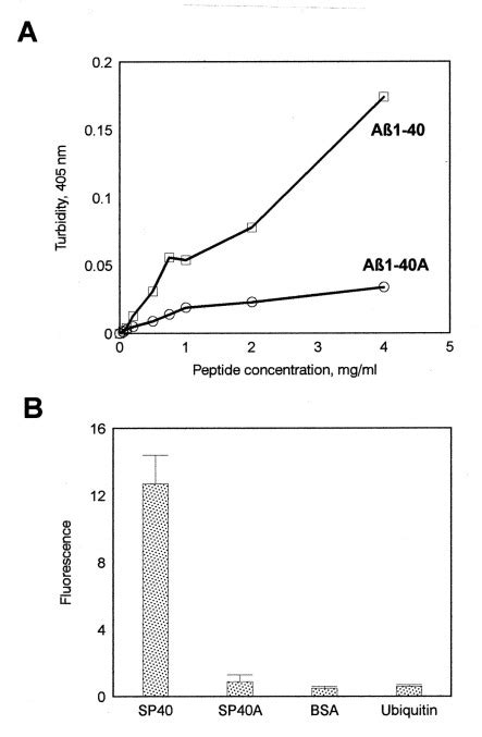 The α Helical to β Strand Transition in the Amino terminal Fragment of