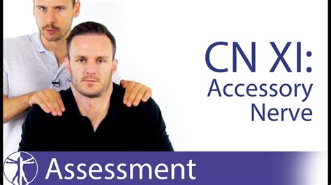 Cranial Nerve 11 Examination Accessory Nerve Assessment For