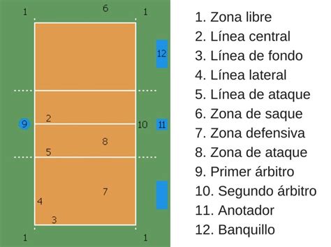 Cancha De Voleibol Y Sus Medidas