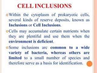 Cell inclusions | PPT