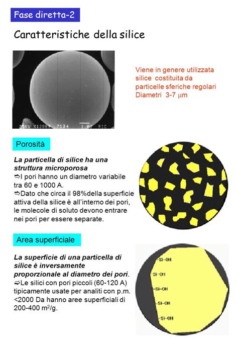 Fase Diretta 1 Tecniche Di Separazione E Tipi Di Fasi In Cromatografia