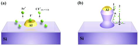 Schematic Diagram For The Formation Of The Cup Shaped Si Nano Pillar