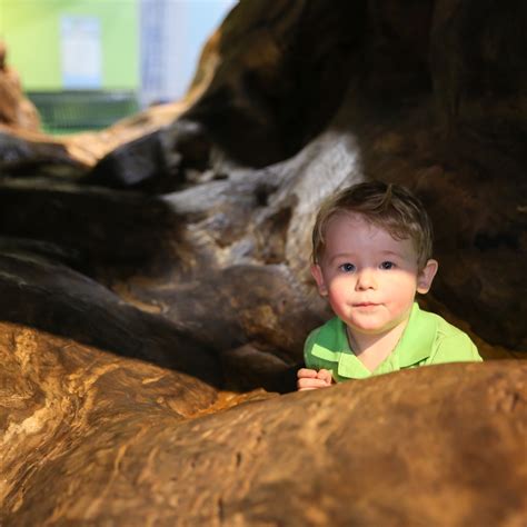 Home - Delaware Childrens Museum