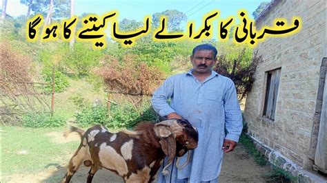 Qurbani Ka Bakra Le Liya Youtube