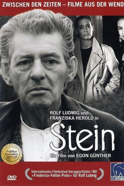 stein
