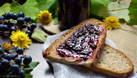 Homemade Concord Grape Jelly - She loves biscotti