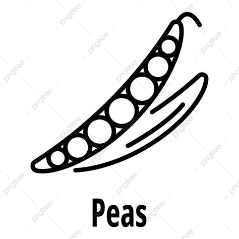 Peas Vector Art Png Peas Icon Outline Vector Thin Agriculture