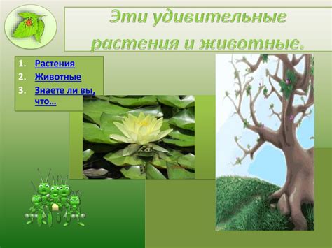 В мире интересного. Эти удивительные растения и животные - презентация ...