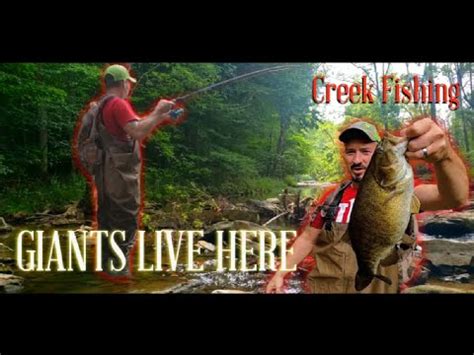 Best Indiana Creek Fishing Spot Smallmouth Bass Fishing Youtube