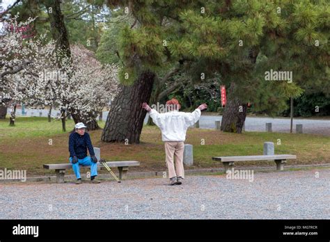 Imperial palace gardens kyoto hi-res stock photography and images - Alamy