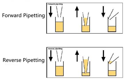 How To Use A Pipette Correctly Knowledge Changde Bkmam