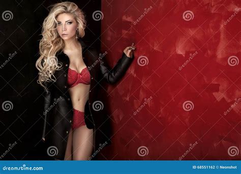 Blonde Lady Posing In Elegant Underwear Stock Photo Image Of Fetish Attractive 68551162