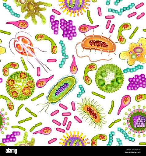 Bacterias virus y gérmenes células de microorganismos vector de color