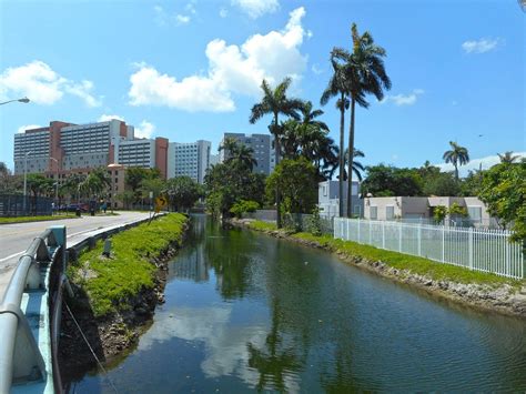 Posible solución para limpiar los canales contaminados de Miami