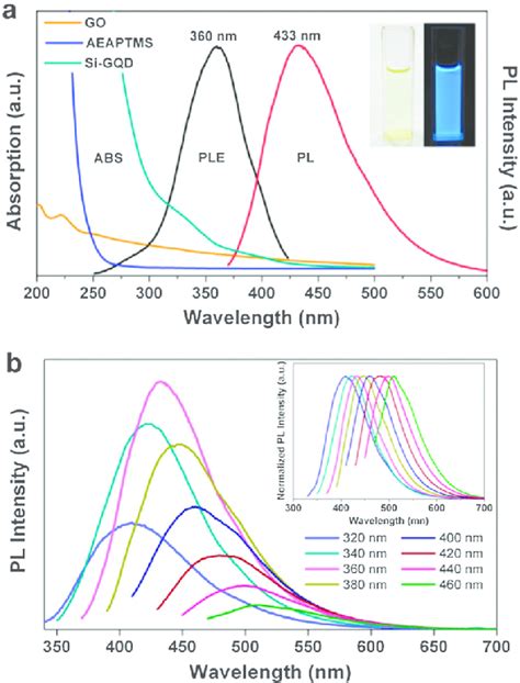 A Uv Vis Absorption Abs Green Ple And Pl Spectra Of The Si Gqds