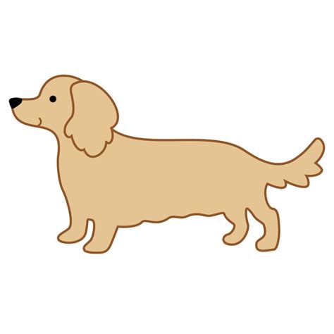 Premium Vector Dachshund Dog In The Cream Longhaired Color Icon