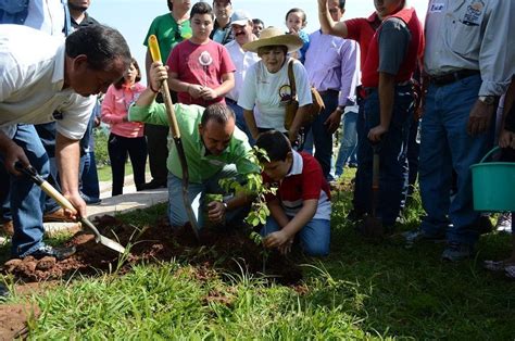 Reforestan Cerro De La Reina En Tonal